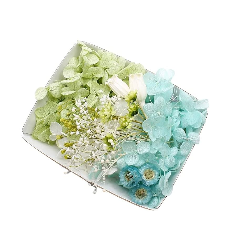 ハーバリウム花材セット Amazon | ハーバリウム 花材セット 5色入り 花材の詰め合わせ